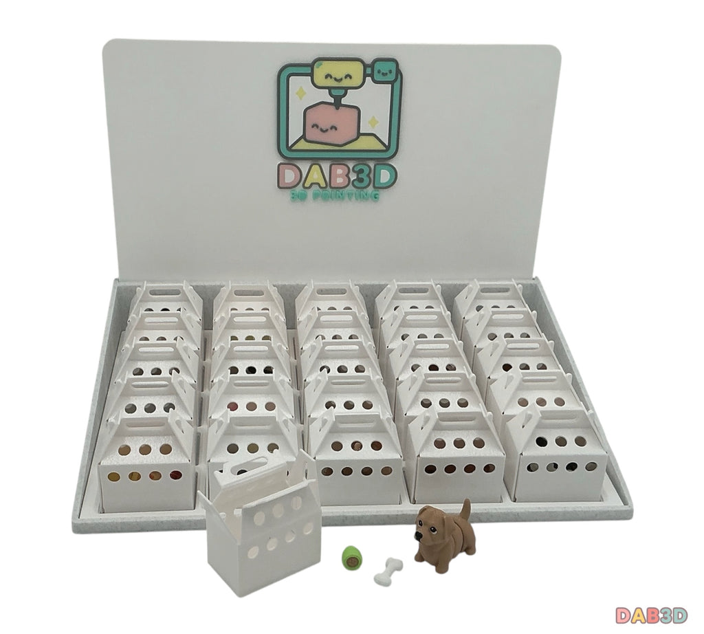 Surprise Box