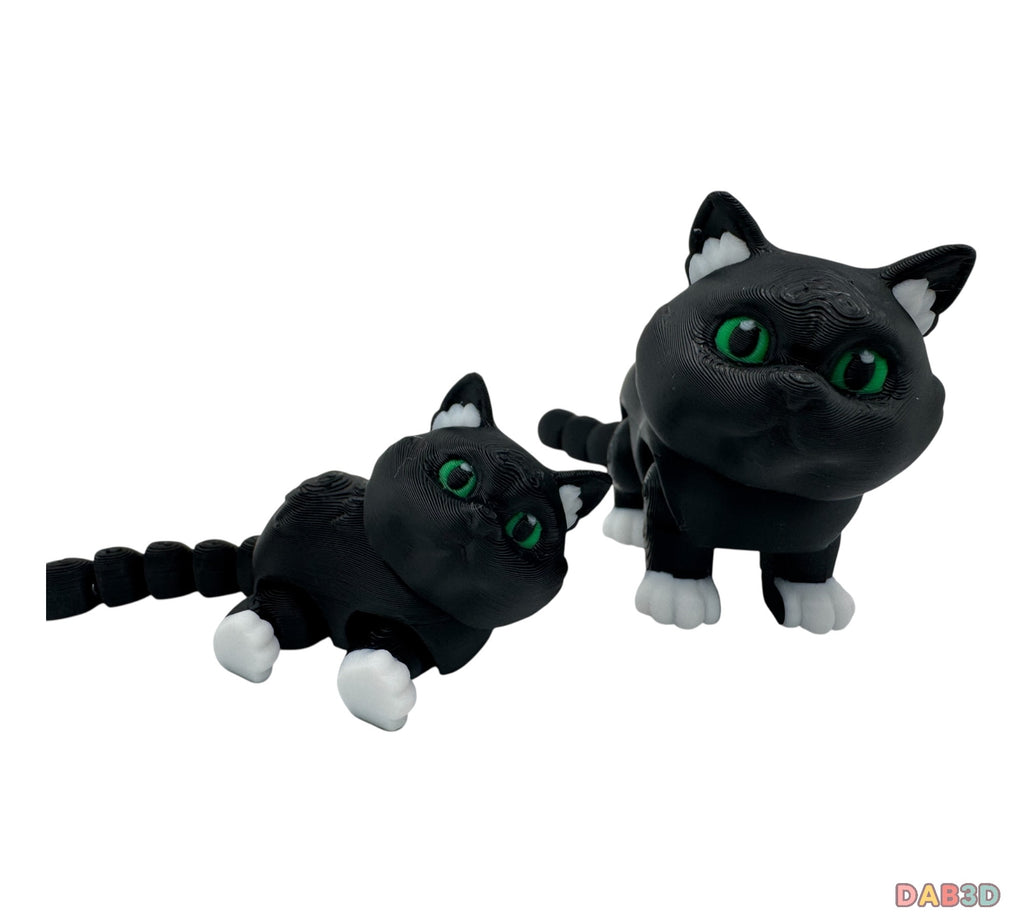 British Shorthair Cat