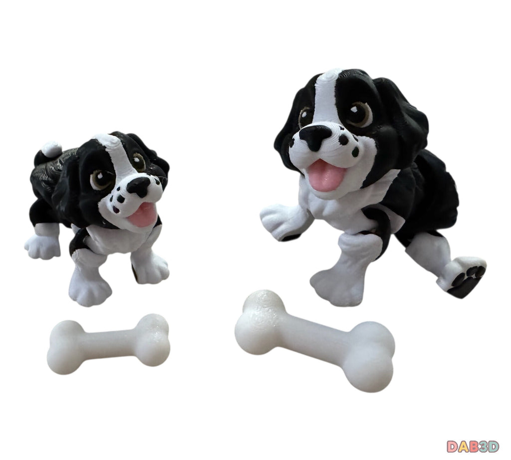 Springer Spaniel