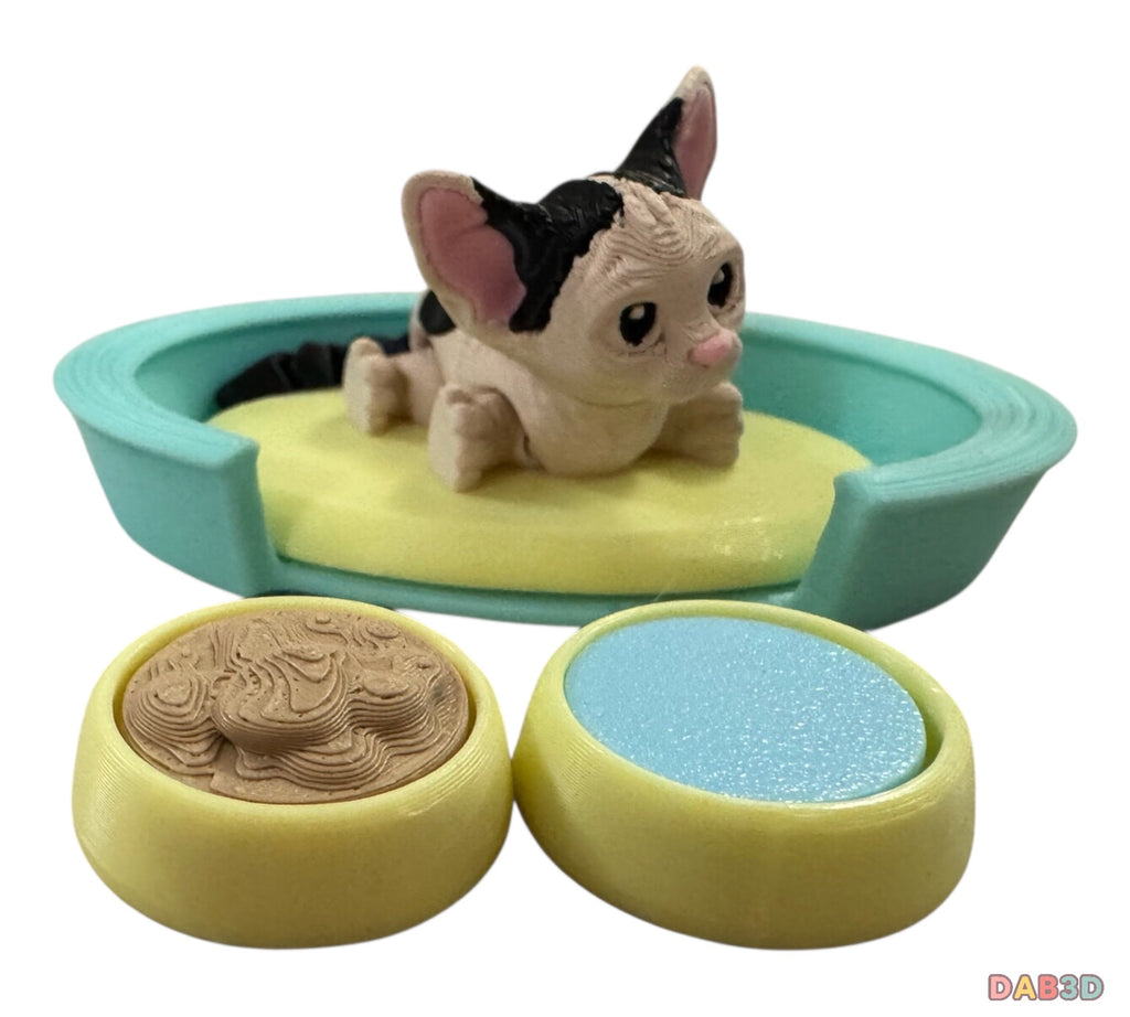Sphinx Cat