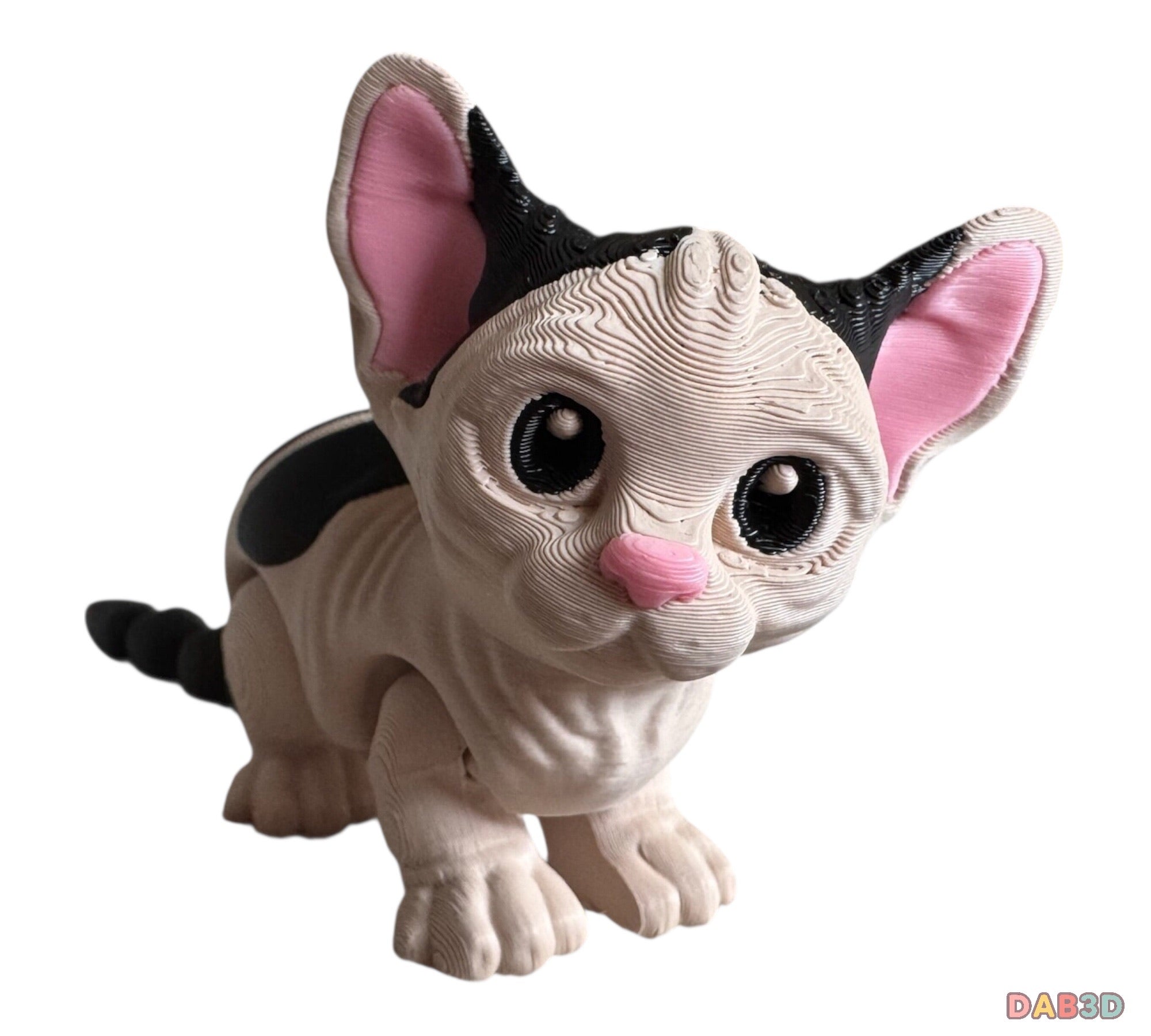 Sphinx Cat