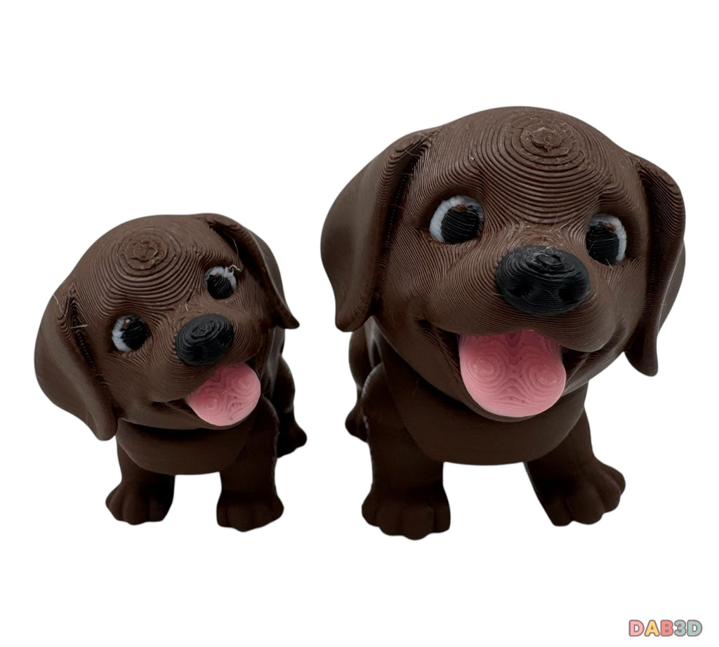 Labrador