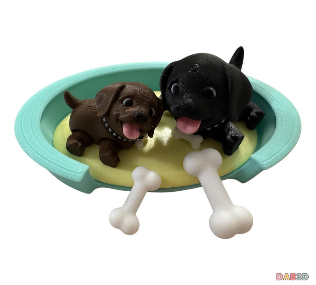 Labrador