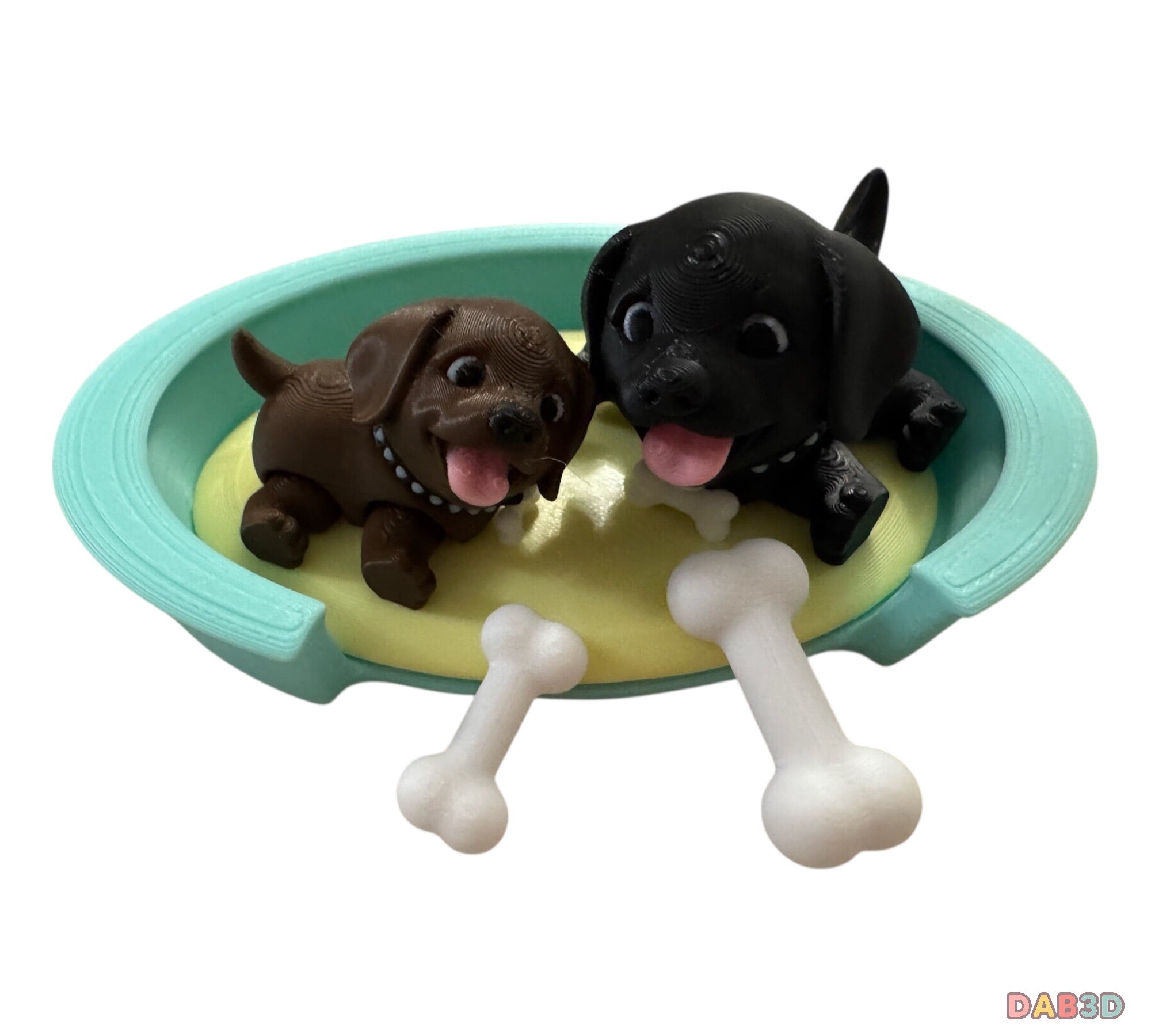 Labrador