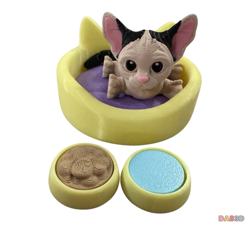 Sphinx Cat