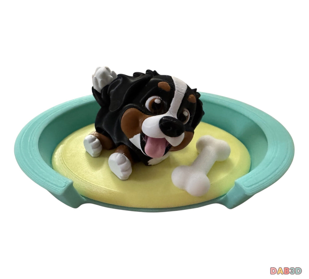 Bernese Mountain Dog