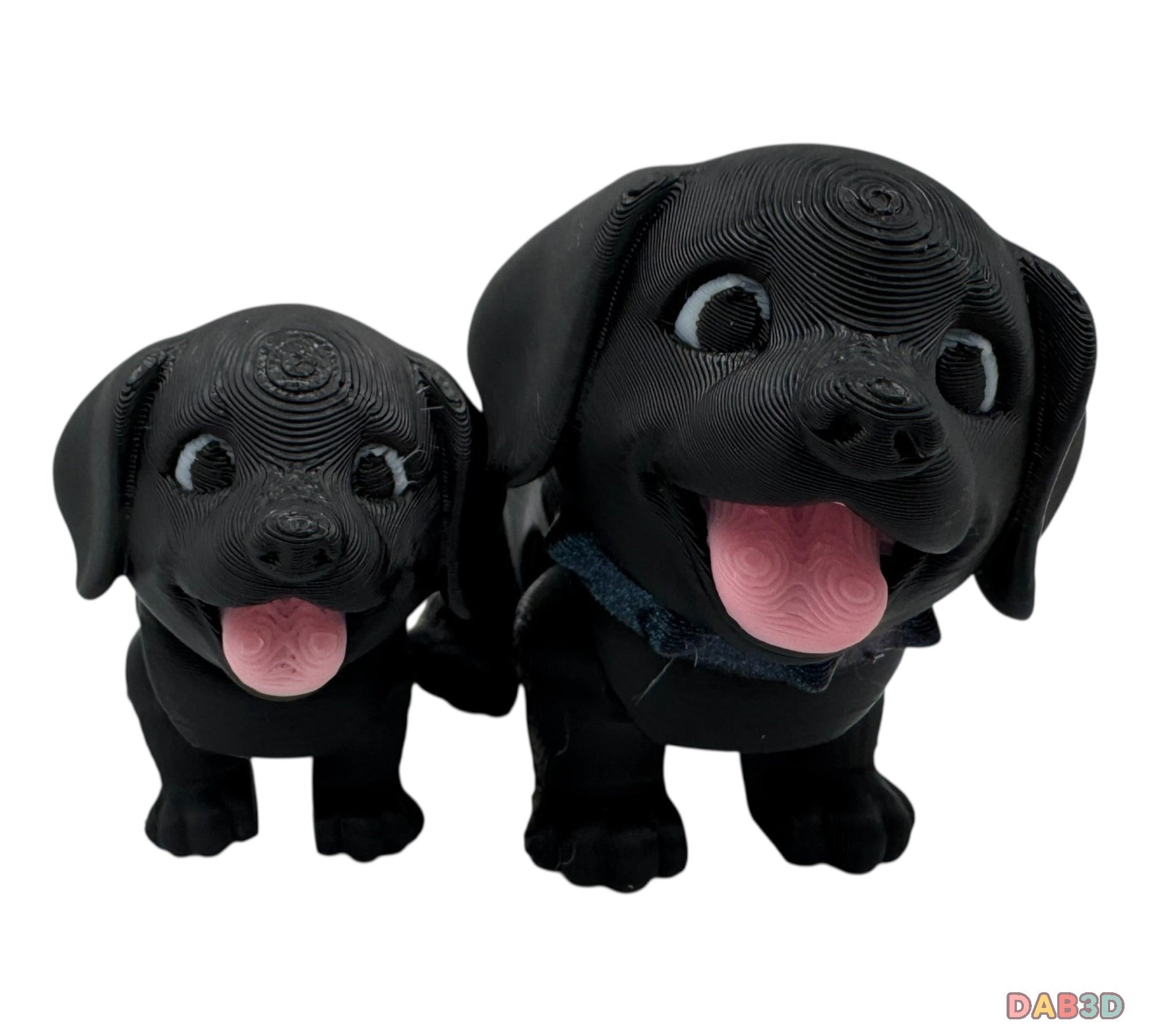 Labrador