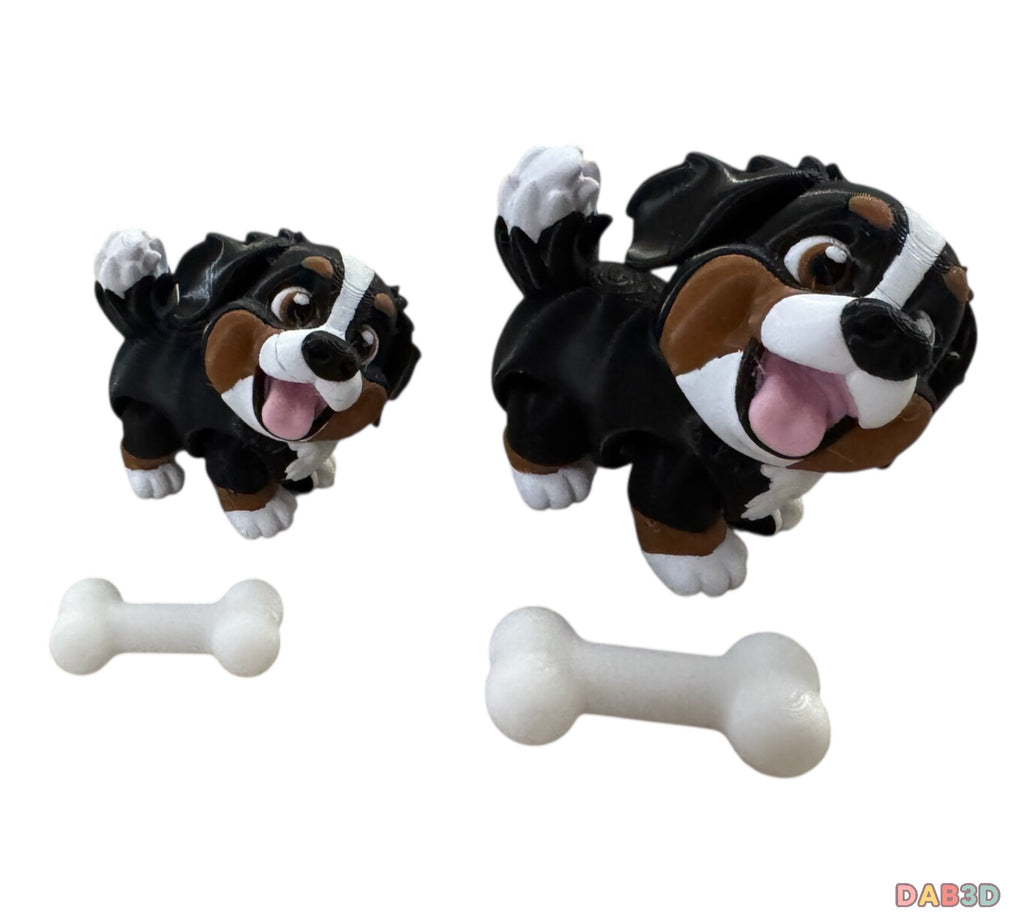 Bernese Mountain Dog