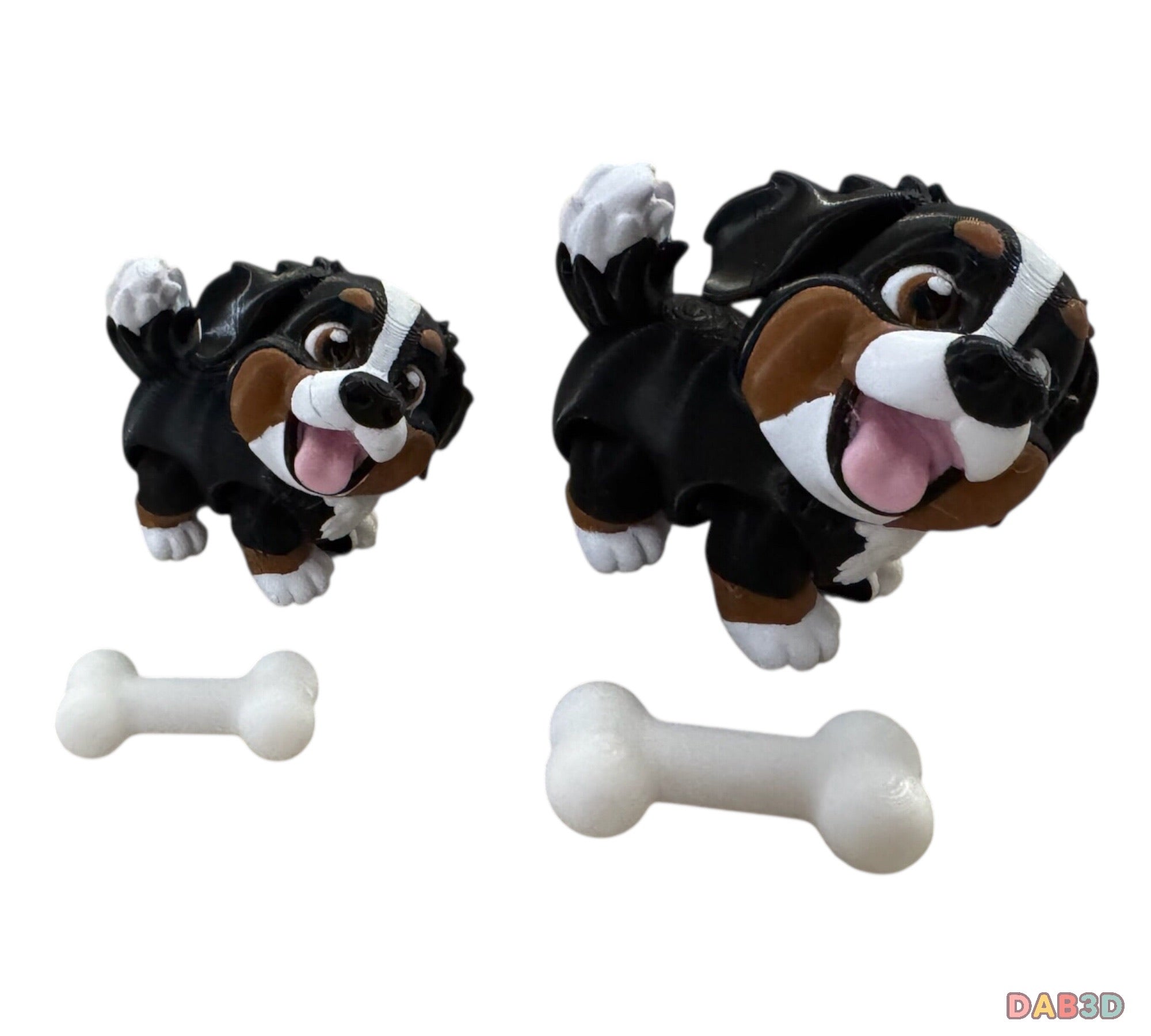 Bernese Mountain Dog