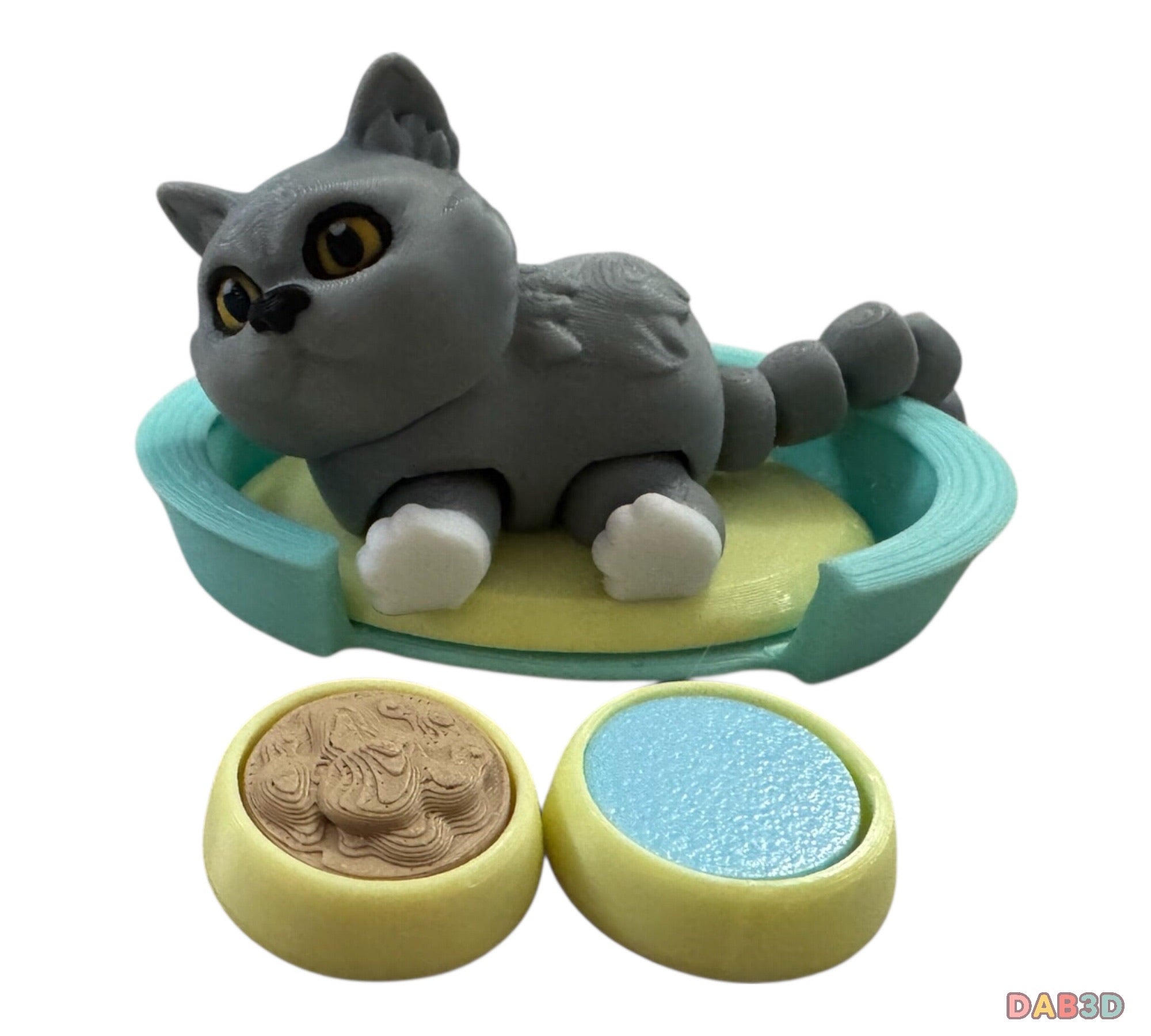 British Shorthair Cat