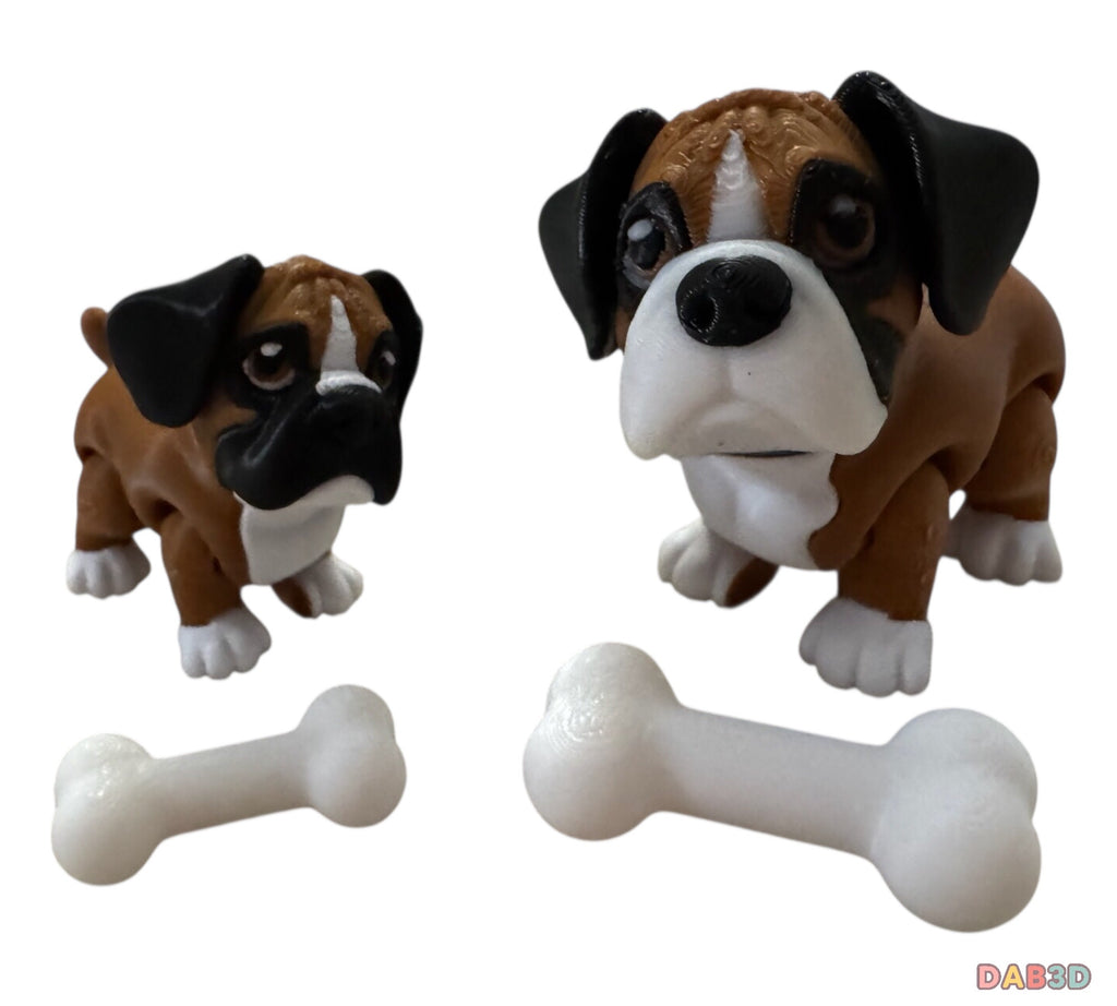 Boxer