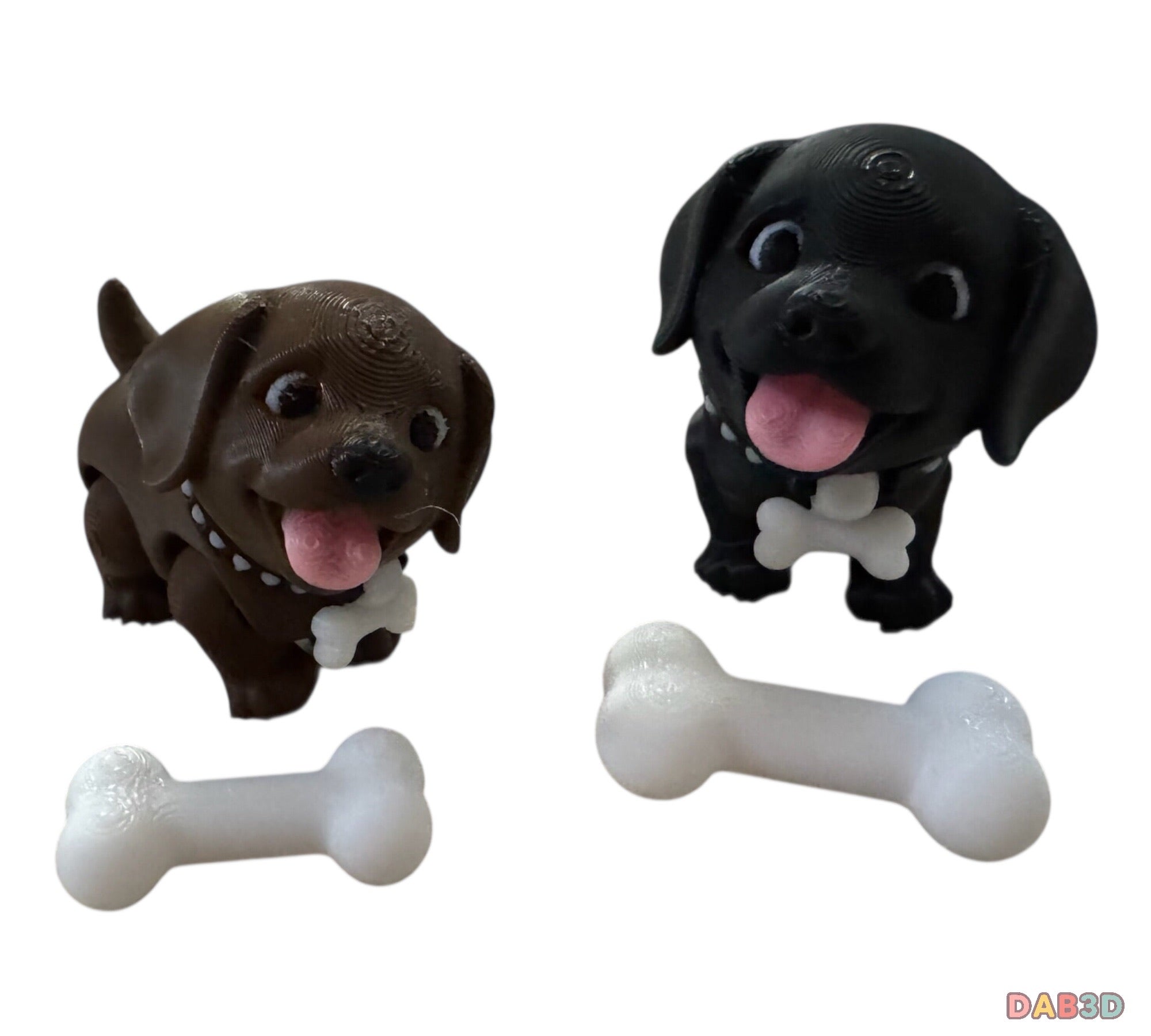 Labrador