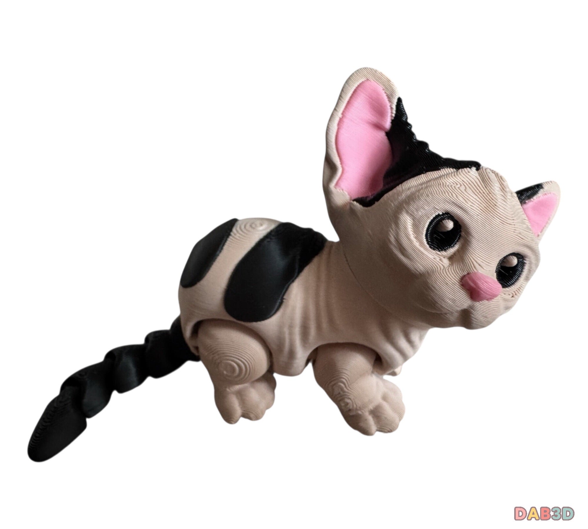 Sphinx Cat