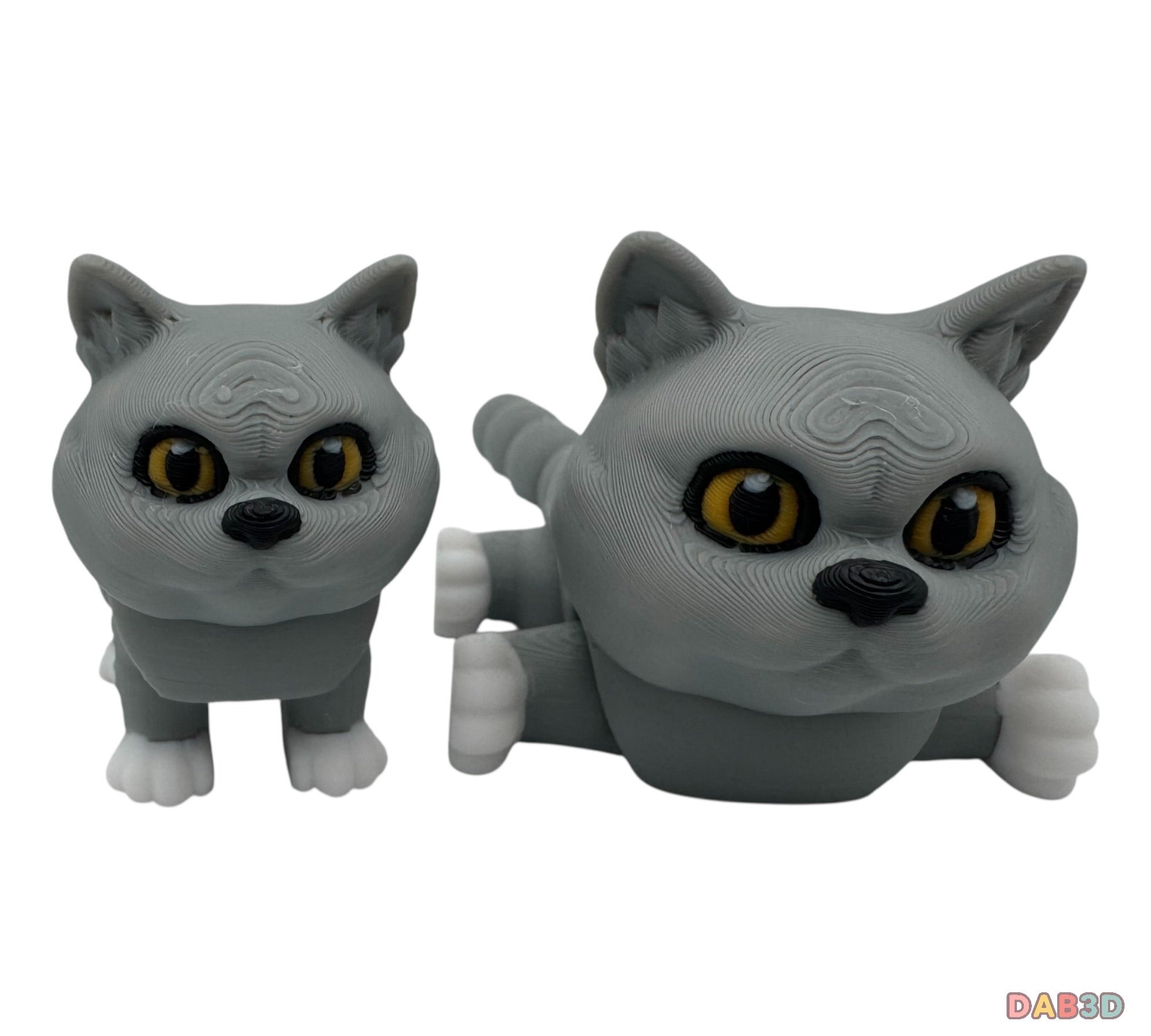 British Shorthair Cat