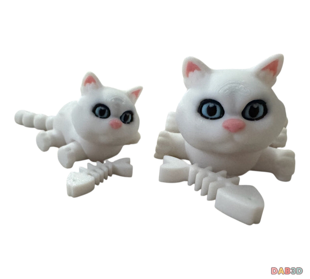 British Shorthair Cat