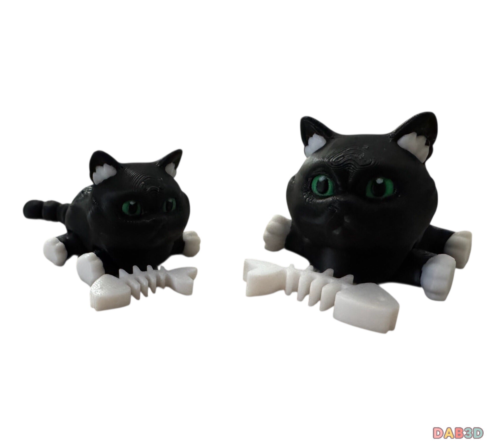 British Shorthair Cat