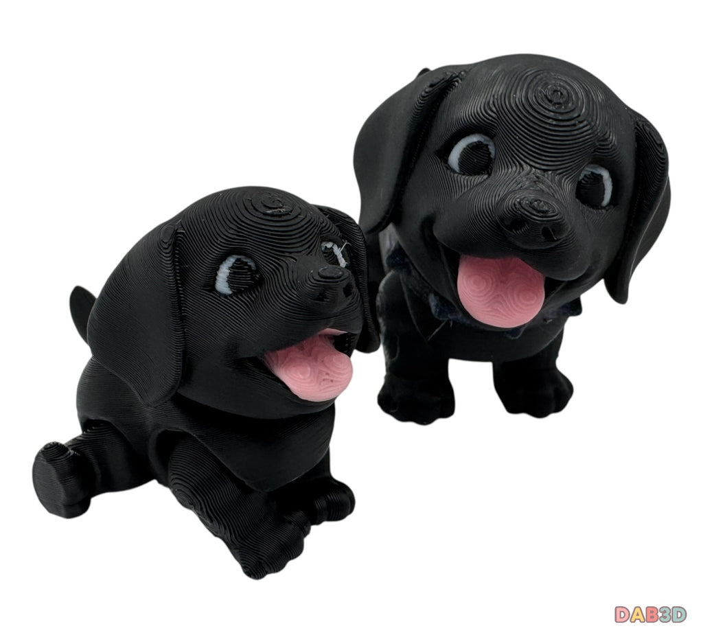 Labrador